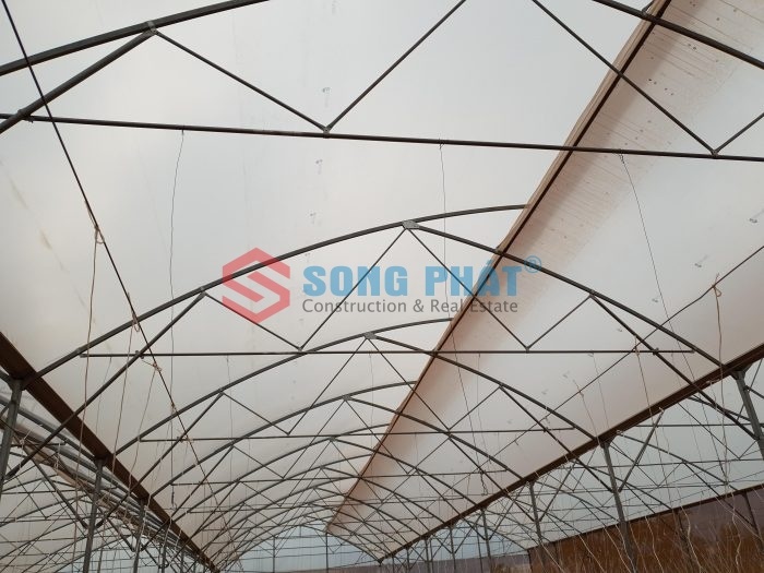 Thi công công trình nhà màng rau sạch 800m2 tại Đồng Nai