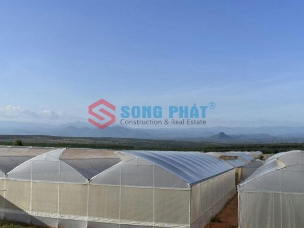 Giới thiệu mô hình nhà kính trồng rau nhiệt đới tại Việt Nam